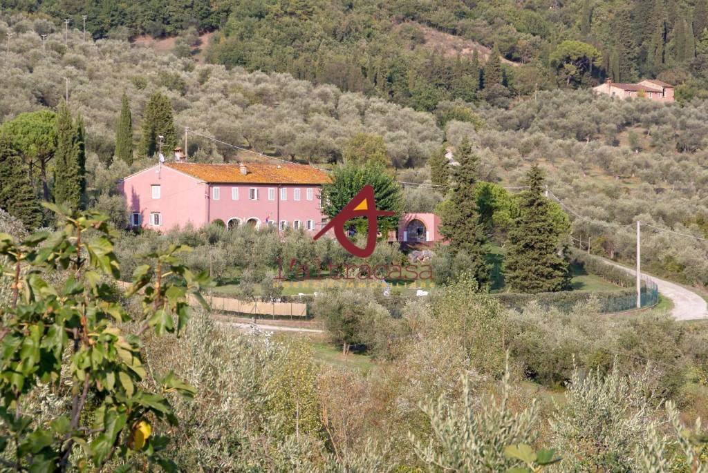 Historic Center (ZTL), Pistoia, Tuscany 3 - 11423513