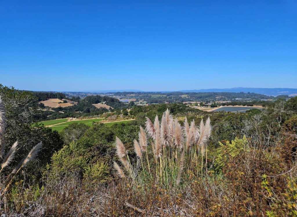 Lots And Land Royal Oaks In Watsonville, California, United States For