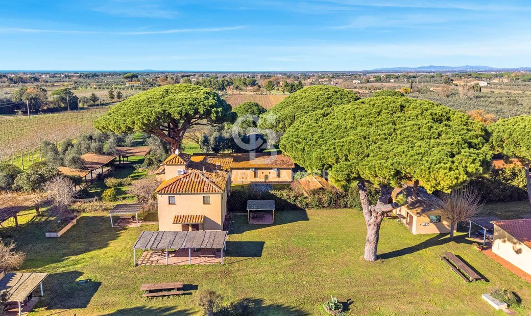 Azienda Agricola In Vendita A Castagneto Carducci Bolgheri In Tuscany