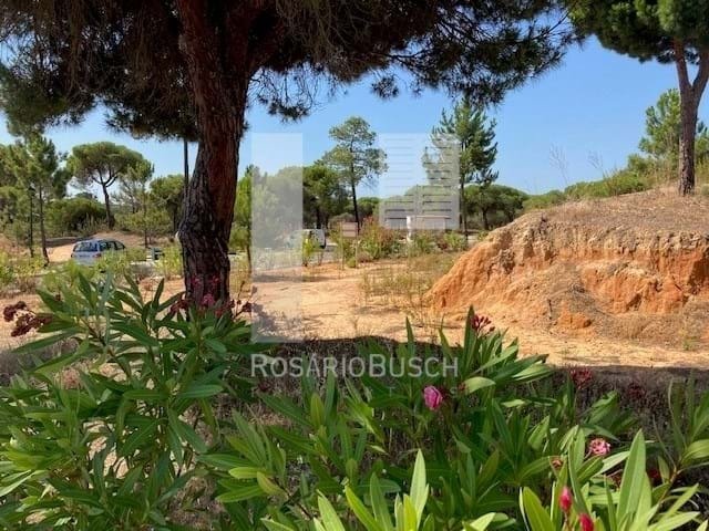 Land in Almancil, Algarve, Portugal 1 - 13759234