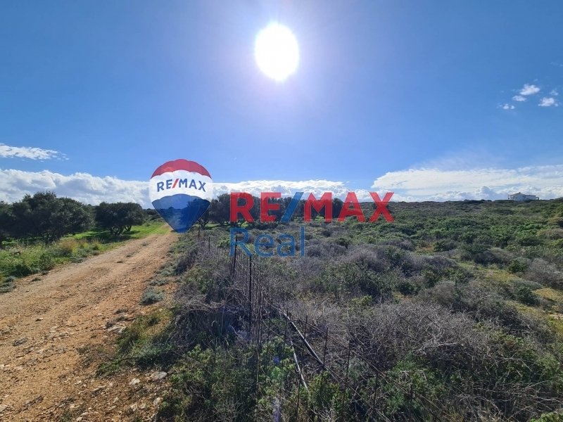 Land in Crete, Greece 1 - 13760097
