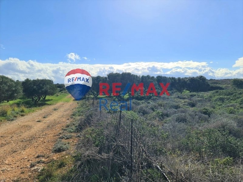 Land in Crete, Greece 3 - 13760097
