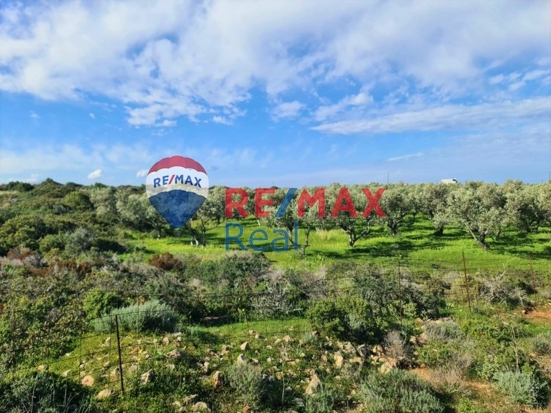 Land in Crete, Greece 4 - 13760097