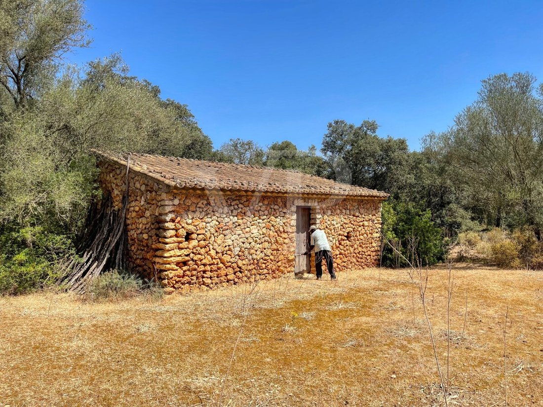 House in Inca, Balearic Islands, Spain 5 - 13759947