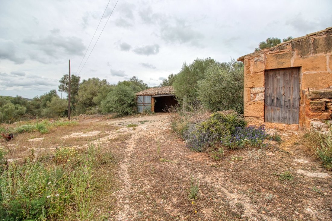 House in Sant Llorenc des Cardassar, Balearic Islands, Spain 5 - 13759942