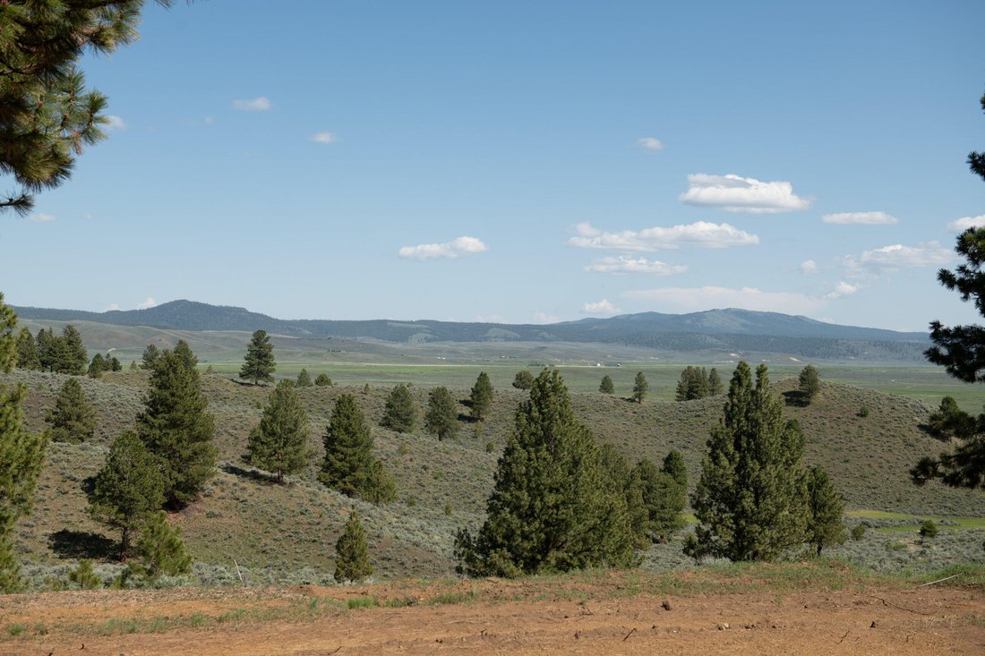 Seneca Land In Seneca, Oregon, United States For Sale (13762820)