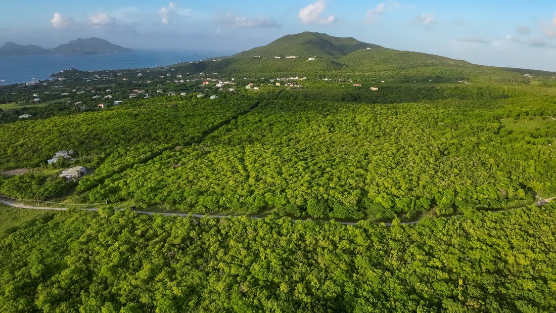 Land in Cotton Ground, Saint Thomas Lowland Parish, Saint Kitts and Nevis 5 - 13763670