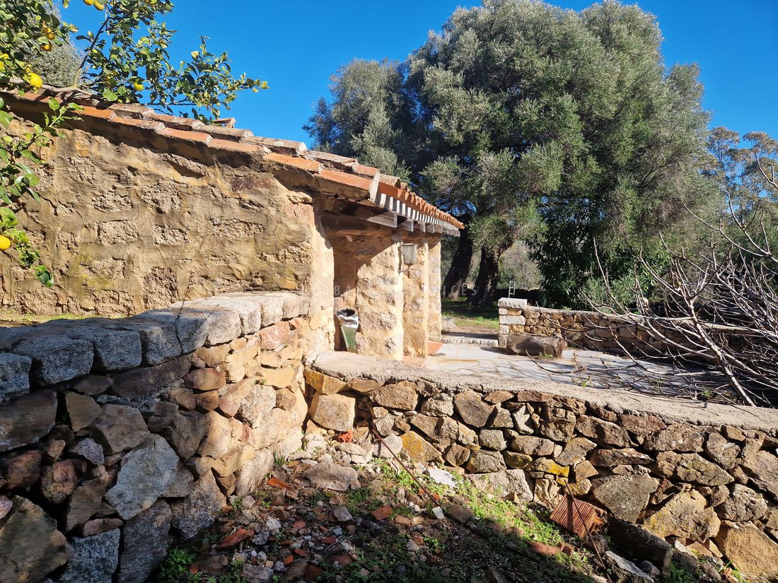 Villa in San Pantaleo, Olbia, Italy 1 - 13768112