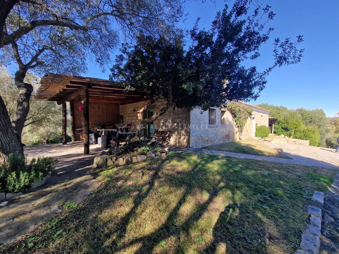 Villa in San Pantaleo, Olbia, Italy 3 - 13768112