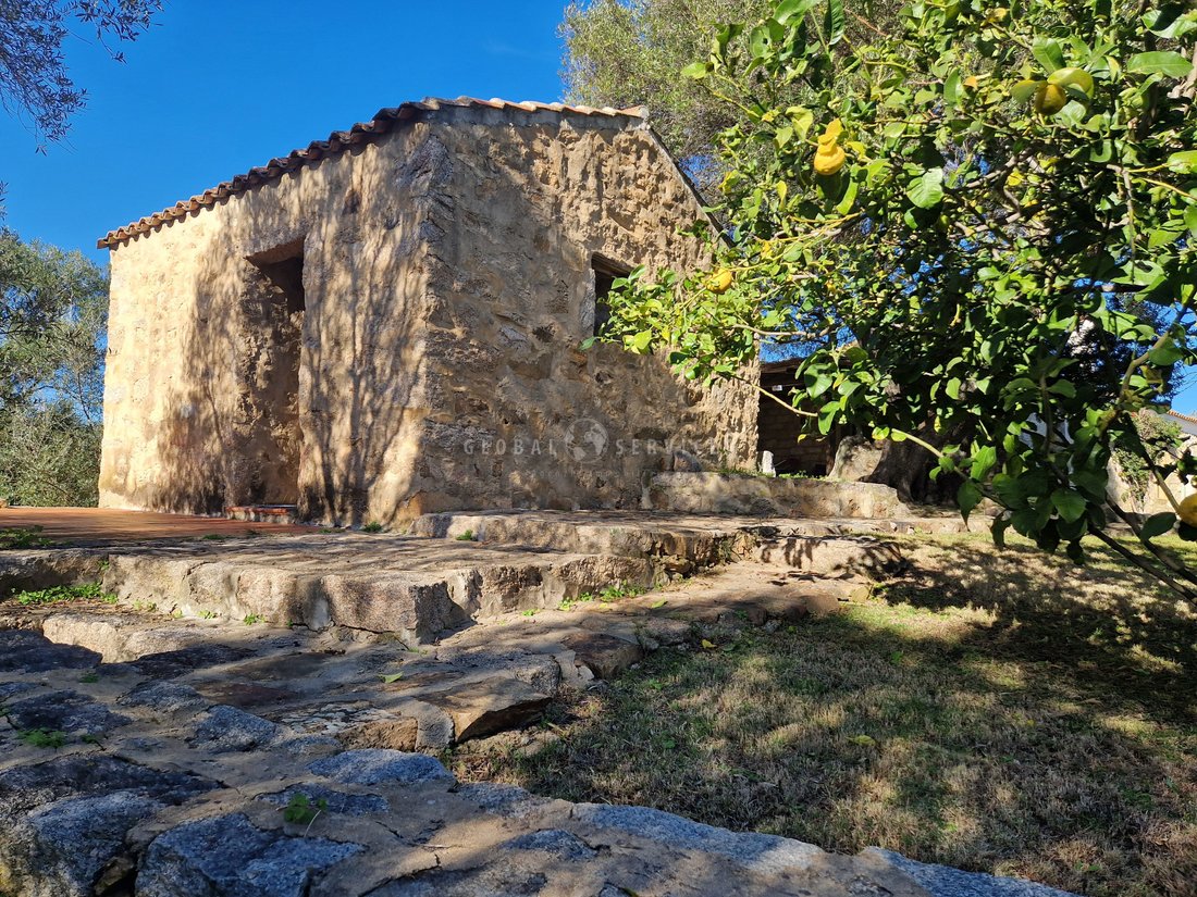 Villa in San Pantaleo, Olbia, Italy 2 - 13768112