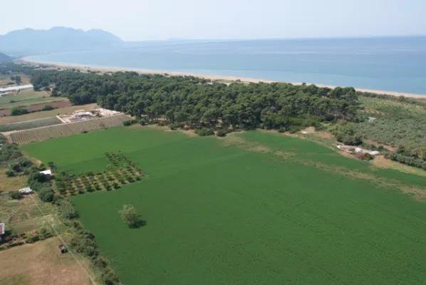 Land in Messini, Peloponnese, Western Greece and the Ionian, Greece 5 - 13768163