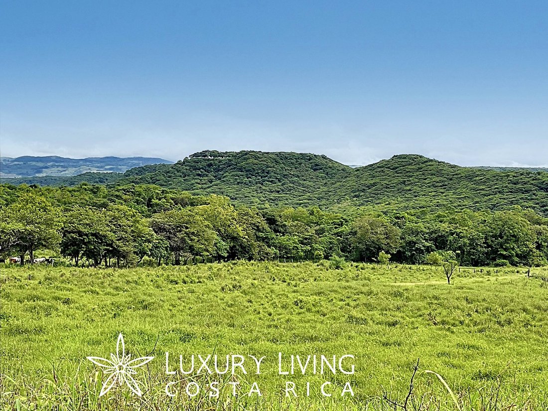 Land in Canas, Guanacaste Province, Costa Rica 1 - 13763856