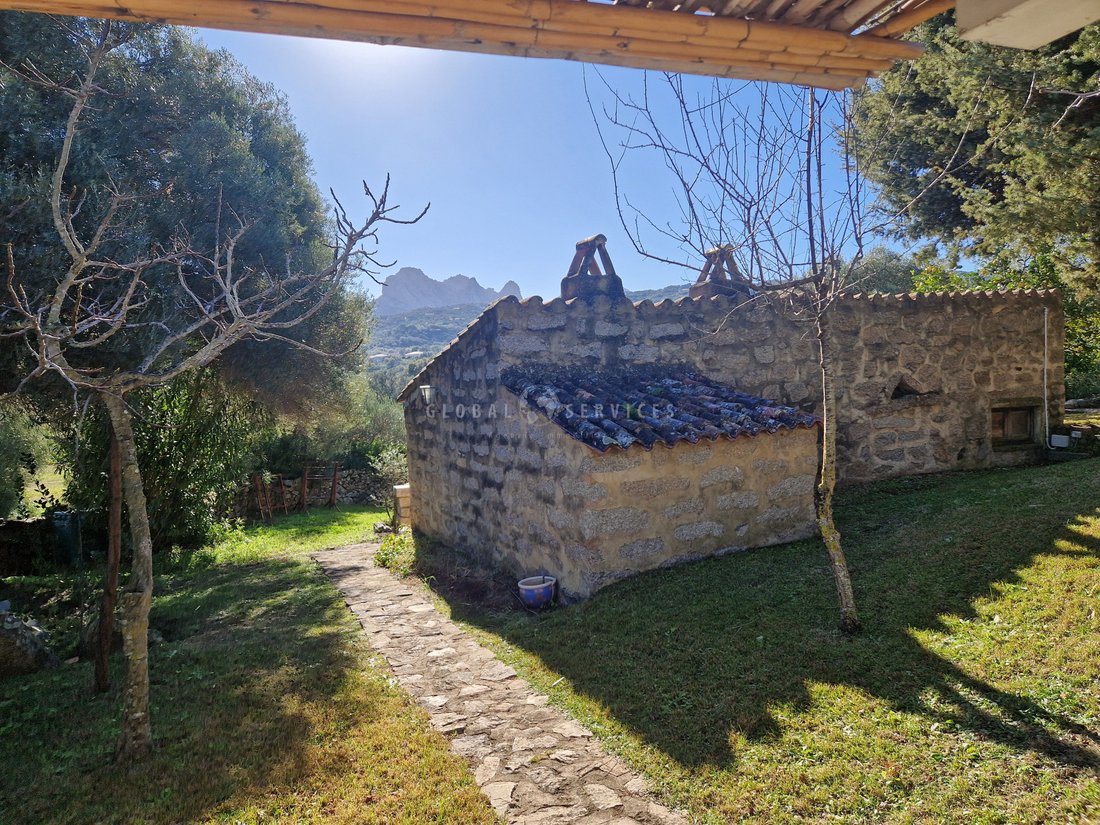 Villa in San Pantaleo, Olbia, Italy 4 - 13768112