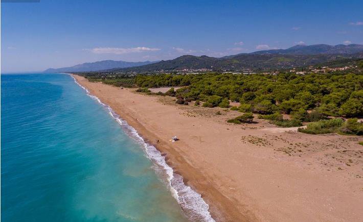 Land in Messini, Peloponnese, Western Greece and the Ionian, Greece 4 - 13768163