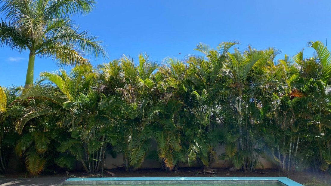 House in Trou-aux-Biches, Pamplemousses District, Mauritius 5 - 13765040