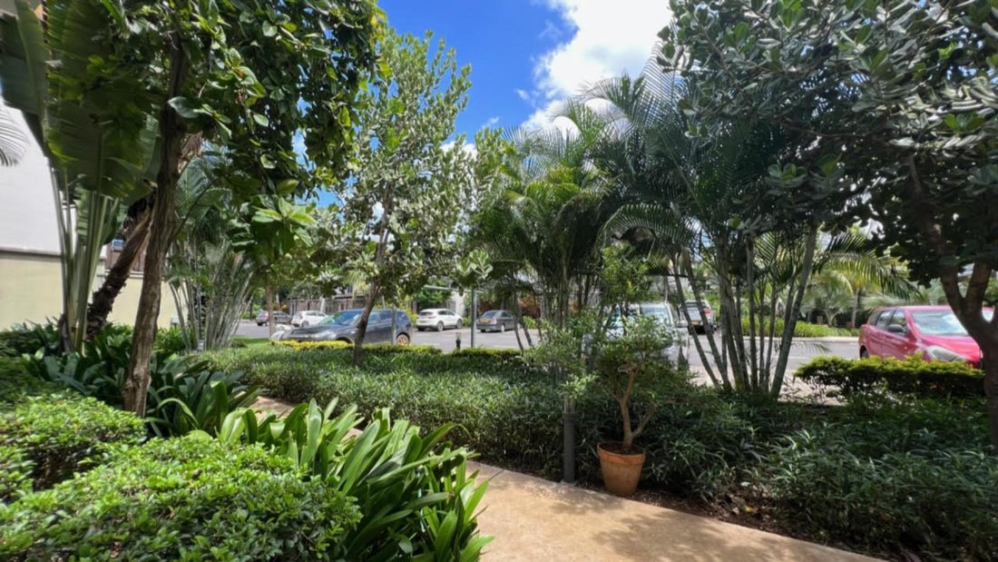 Apartment in Rivière Noire, Mauritius 3 - 13764849
