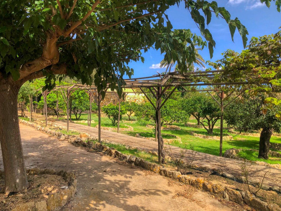 House in Sant Llorenc des Cardassar, Balearic Islands, Spain 5 - 13764999