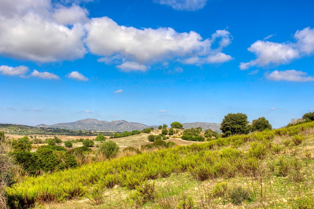 House in Sant Llorenc des Cardassar, Balearic Islands, Spain 1 - 13764999