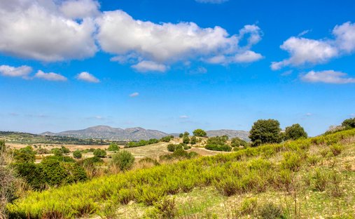 House in Sant Llorenc des Cardassar, Balearic Islands, Spain 1