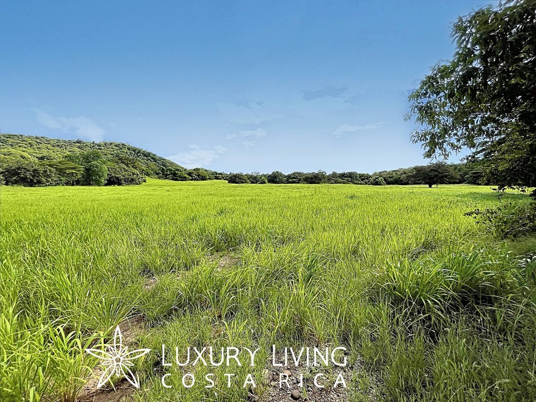 Land in Canas, Guanacaste Province, Costa Rica 5 - 13763856