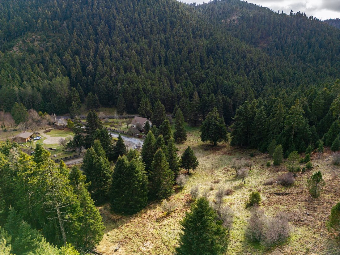 Land in Perithori Community, Peloponnese, Western Greece and the Ionian, Griechenland 4 - 13773521