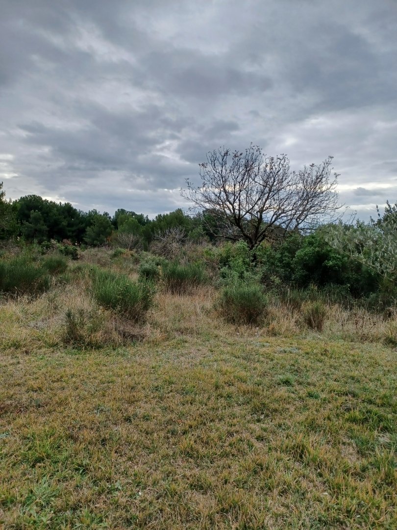 Land in Fazana, Istria County, Croatia 2 - 13769723