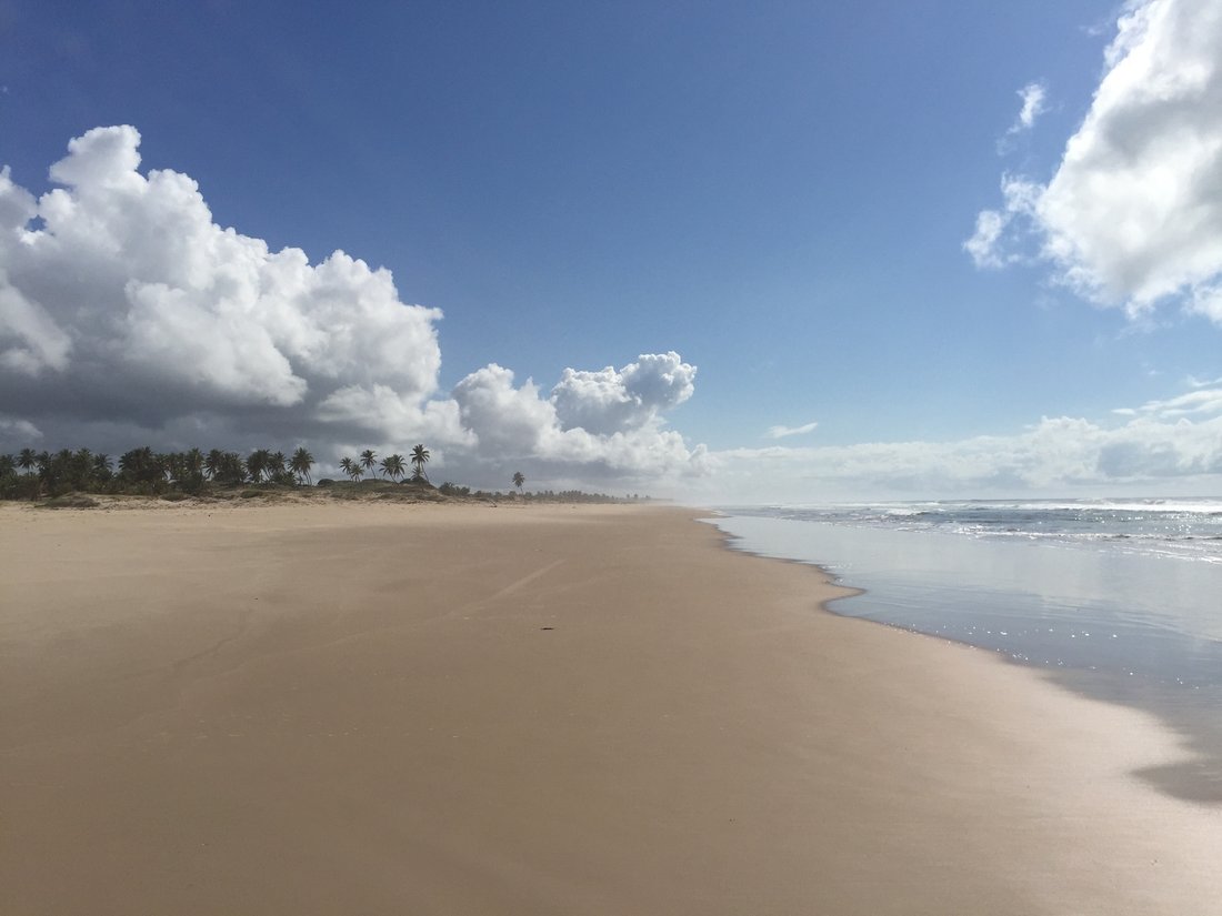 Land in State of Bahia, Brazil 1 - 13768909