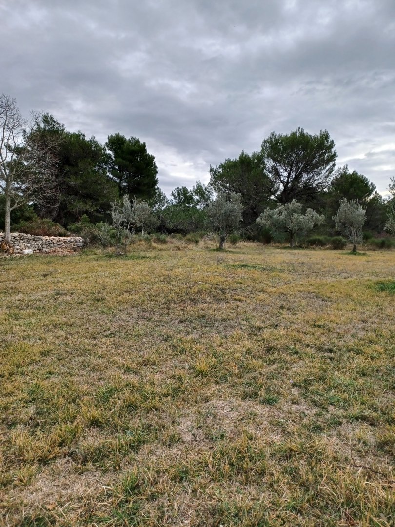 Land in Fazana, Istria County, Croatia 5 - 13769723