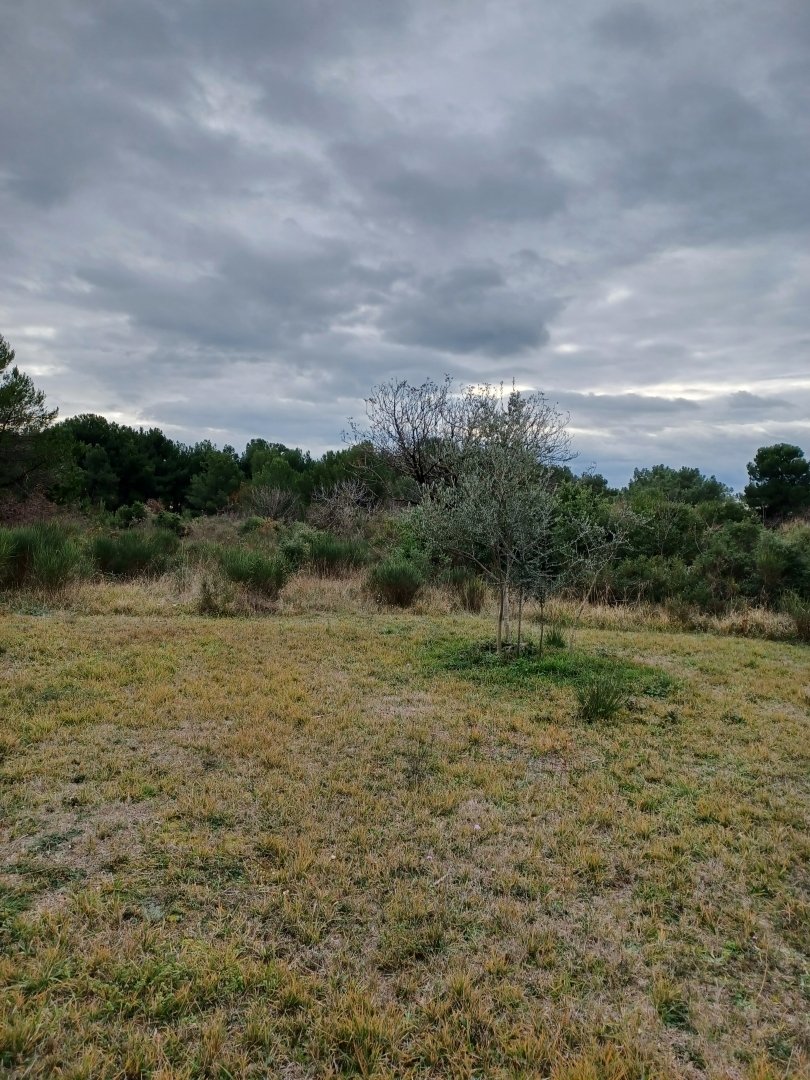 Land in Fazana, Istria County, Croatia 4 - 13769723