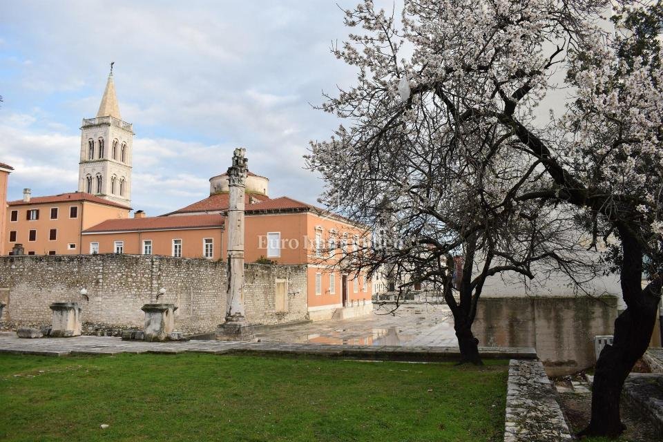 House in Mjesni odbor Vostarnica, Zadar, Zadar County 3 - 13773374