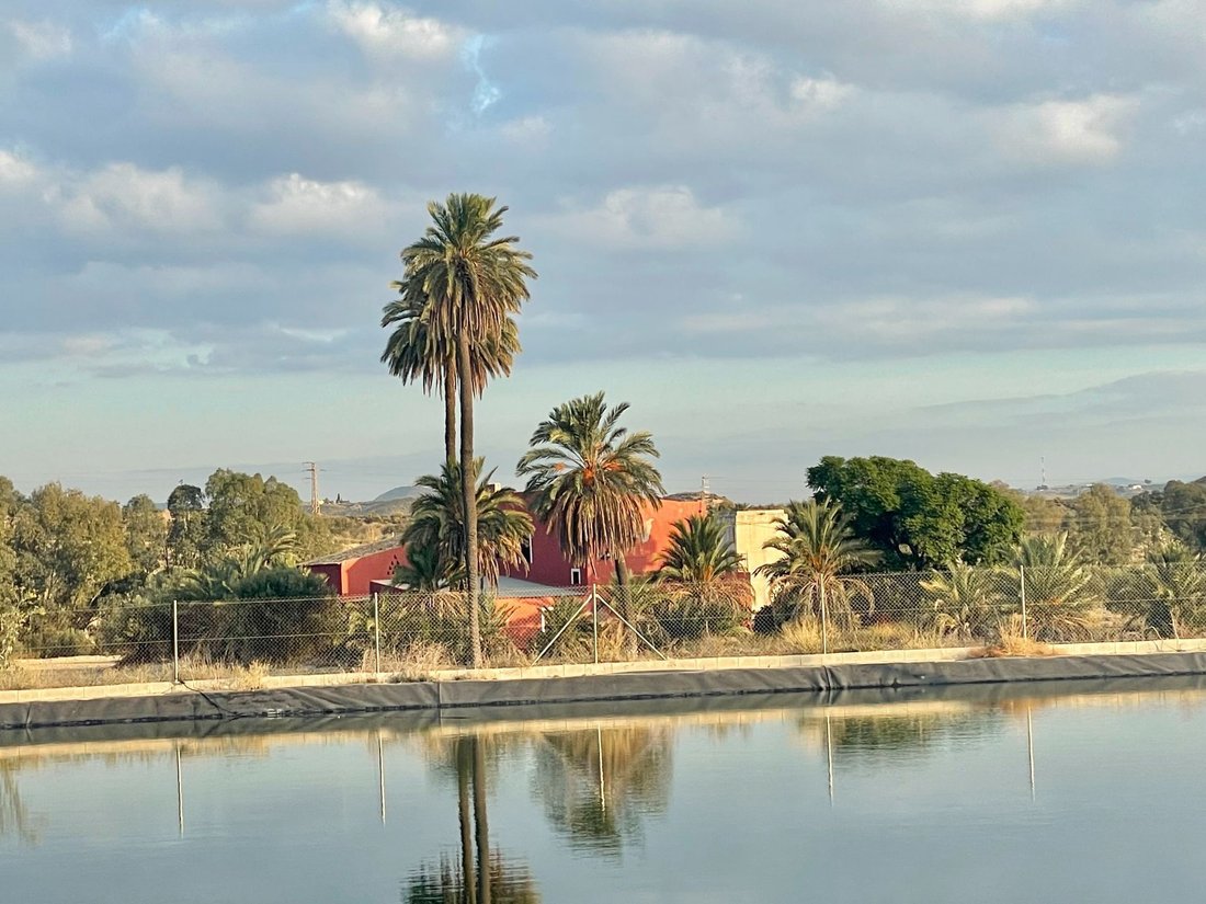 Estate in Turre, Andalusia, Spain 2 - 13772647