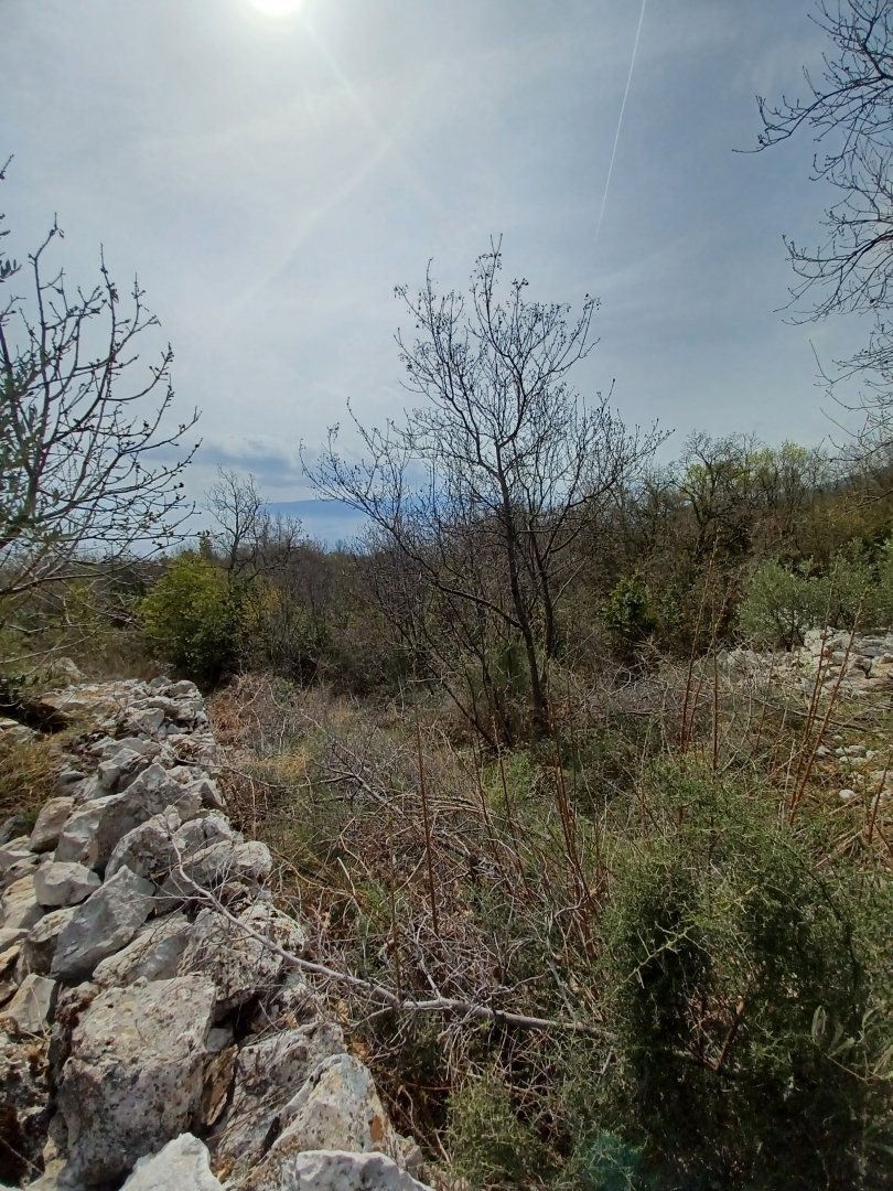 Land in Opcina Moscenicka Draga, Primorje-Gorski Kotar County, Croatia 5 - 13769669