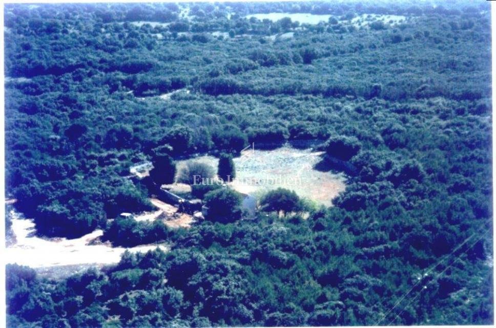 Land in Punta Kriza, Primorje-Gorski Kotar County, Croatia 1 - 13773324