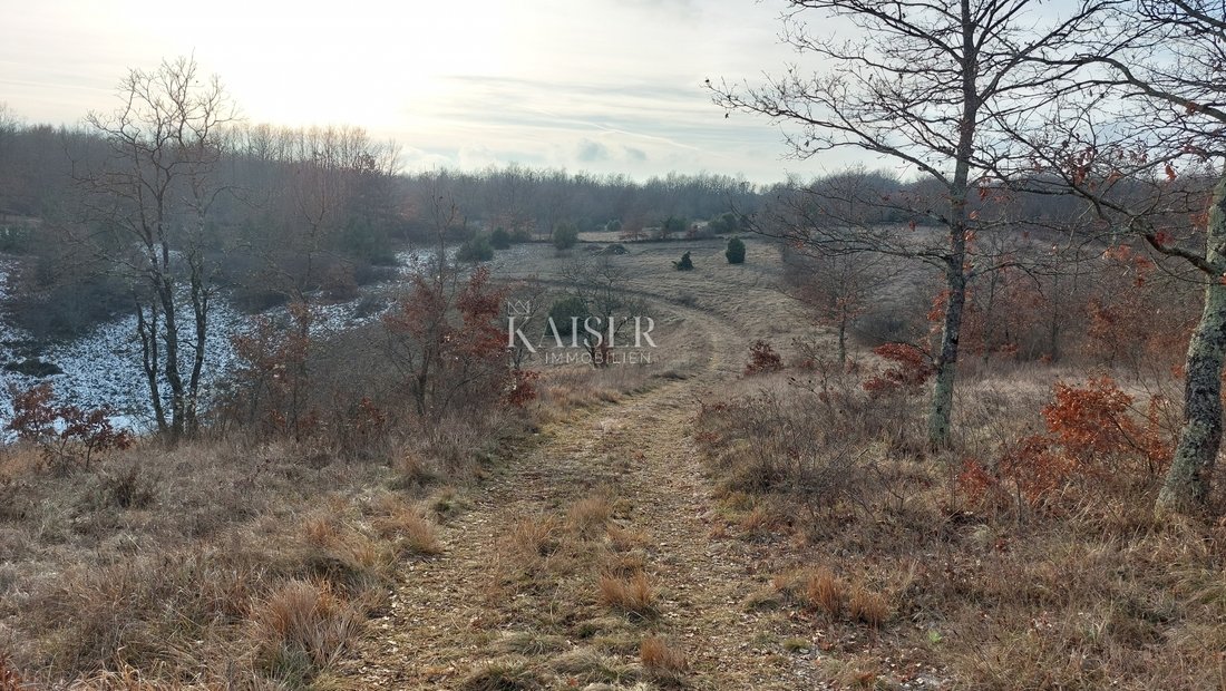 Land in Grad Pazin, Istria County, Croatia 1 - 13587058