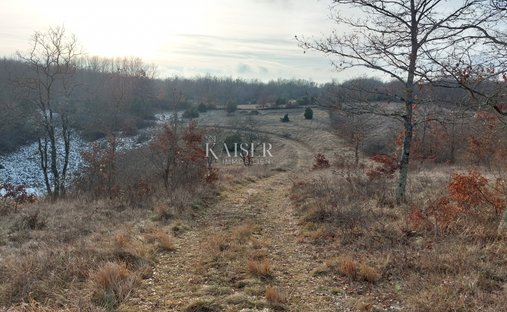 Land in Grad Pazin, Istria County, Croatia 1