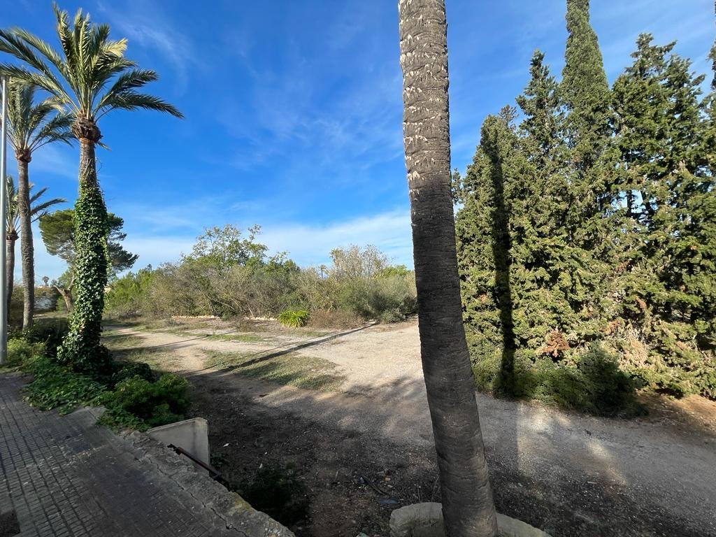 Land in Llucmajor, Balearic Islands, Spain 1 - 13774509