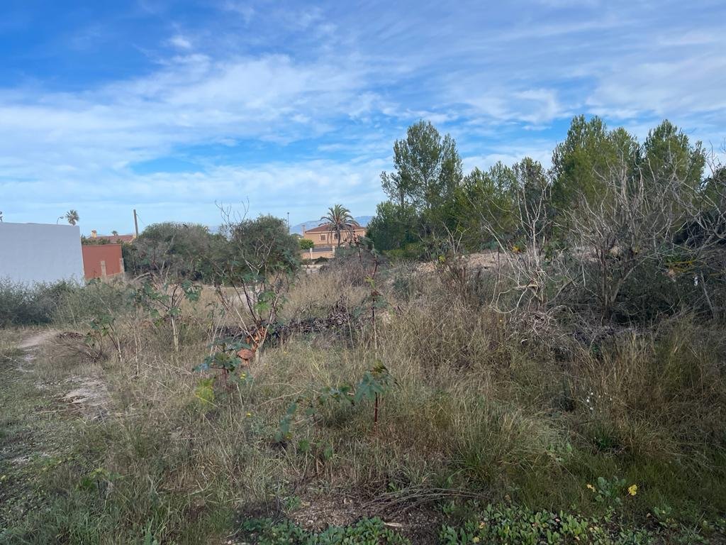 Land in Llucmajor, Balearic Islands, Spain 5 - 13774509