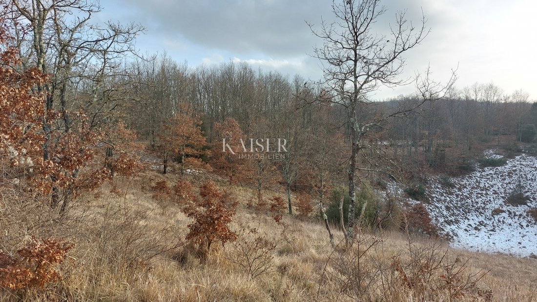 Land in Grad Pazin, Istria County, Croatia 5 - 13587058