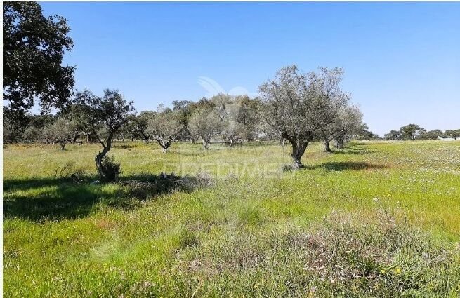 Land in Sao Martinho das Amoreiras, Beja District, Portugal 1 - 13776685
