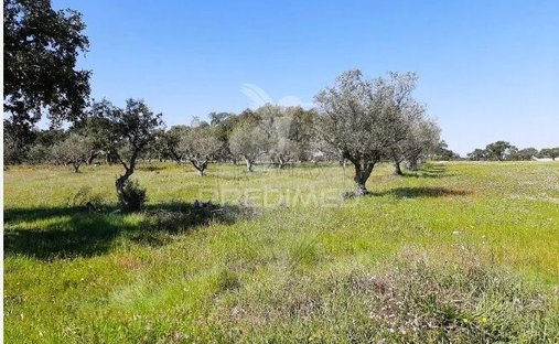 Land in Sao Martinho das Amoreiras, Beja District, Portugal 1