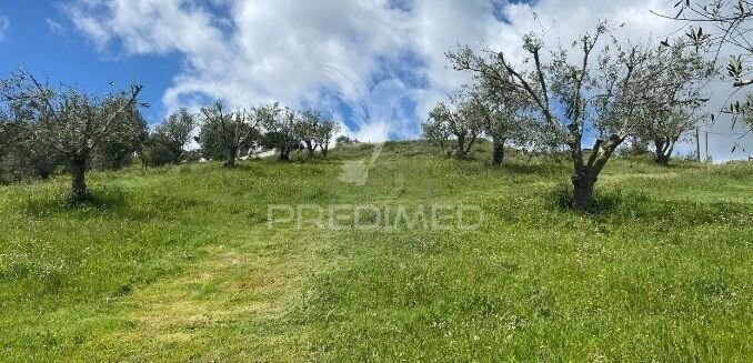 Land in Sao Martinho das Amoreiras, Beja District, Portugal 2 - 13776685