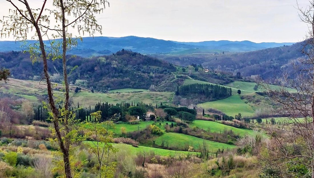 Country House in Palaia, Tuscany, Italy 1 - 13775920
