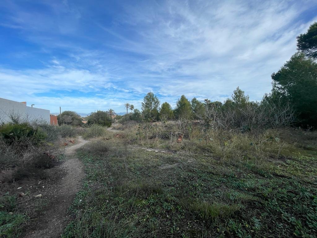 Land in Llucmajor, Balearic Islands, Spain 2 - 13774509