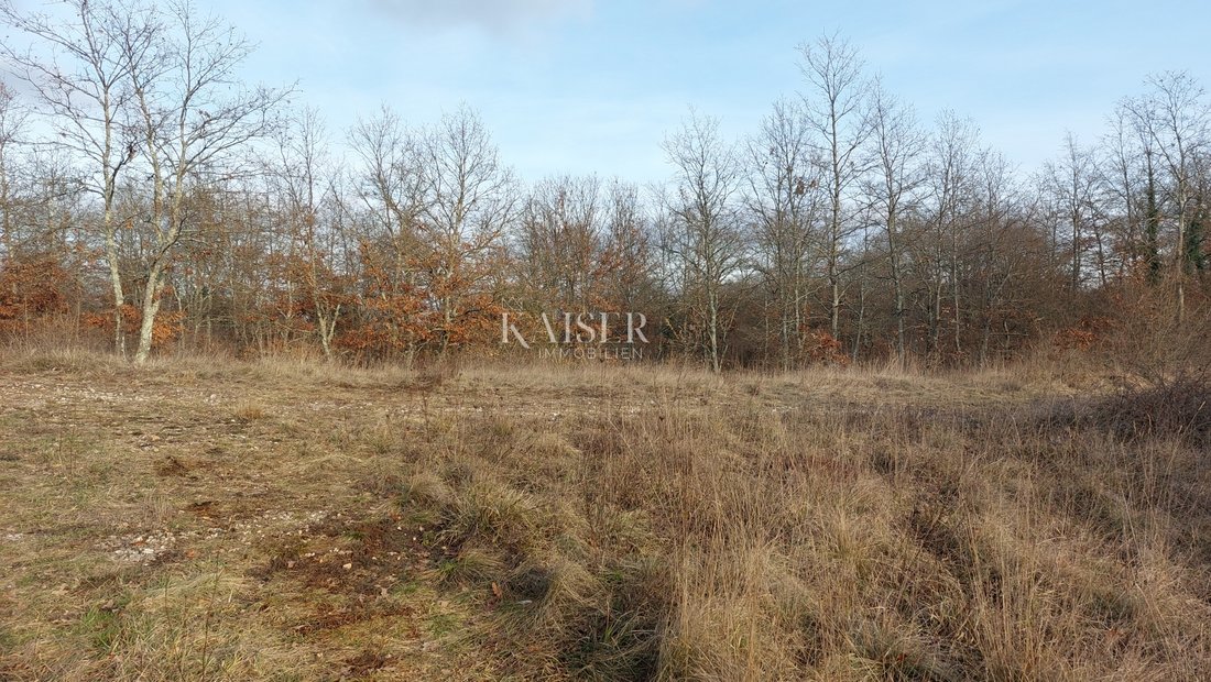 Land in Grad Pazin, Istria County, Croatia 2 - 13587058