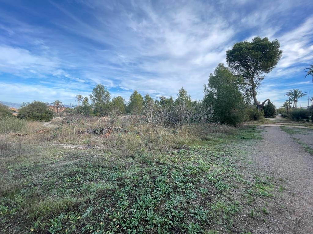 Land in Llucmajor, Balearic Islands, Spain 4 - 13774509