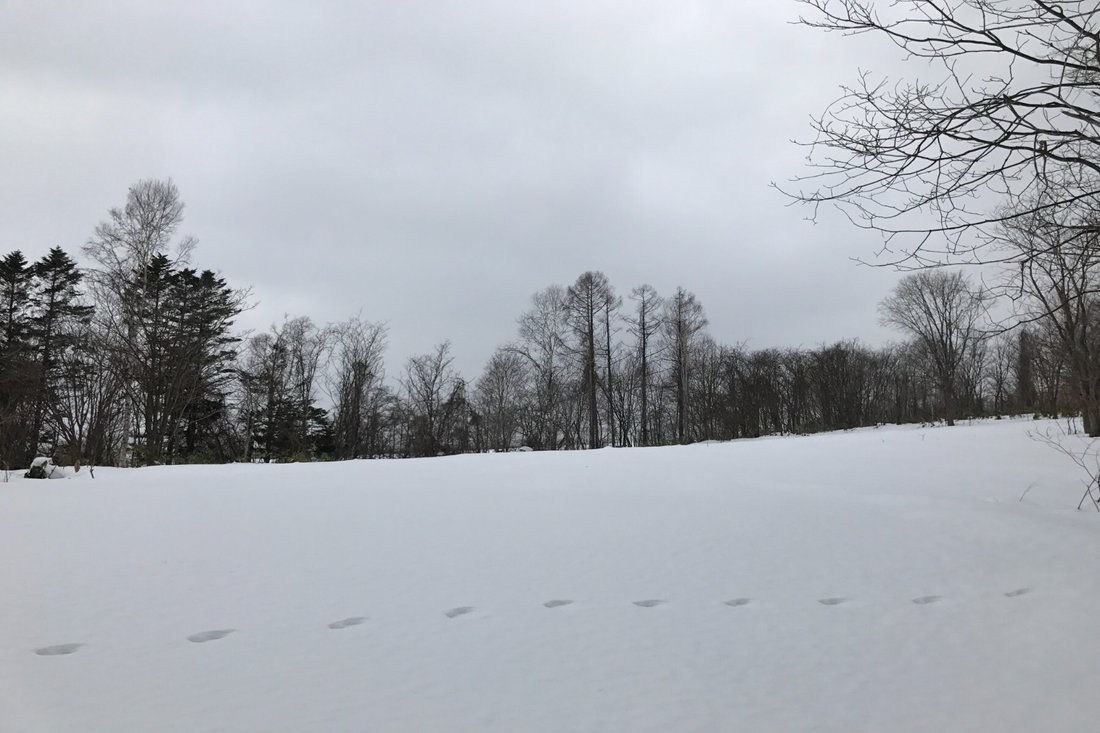 Terreno en Niseko, Hokkaidō, Japón 4 - 13779099