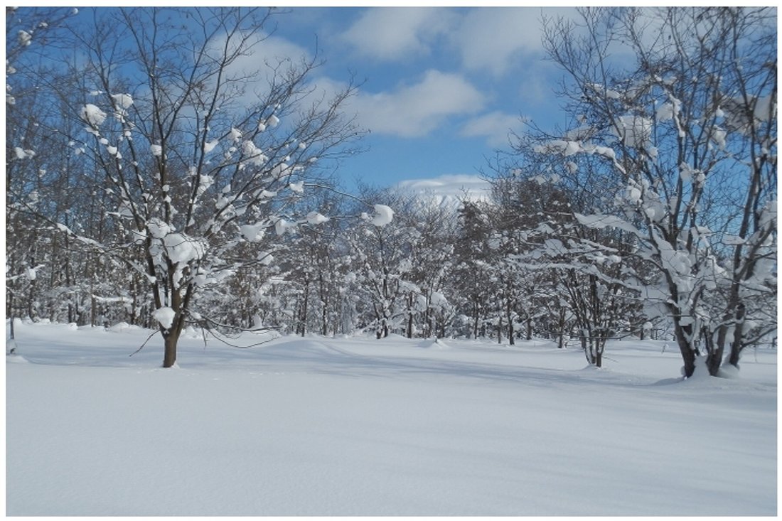 Terreno en Niseko, Hokkaidō, Japón 2 - 13779099