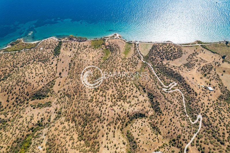 Land in Poros, Attica, Greece 3 - 13260243