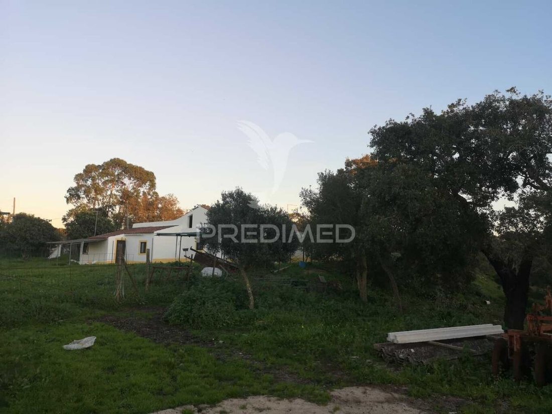 House in Santiago do Cacem, Santa Cruz e Sao Bartolomeu da Serra, Setubal, Portugal 5 - 13785758