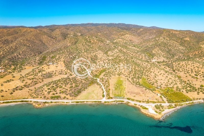 Land in Poros, Attica, Greece 1 - 13260243